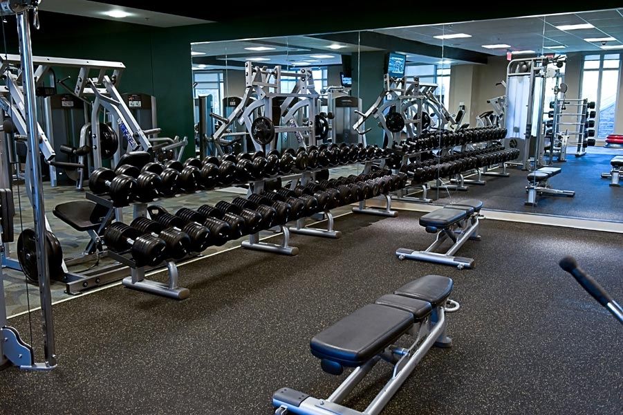 gyms-fitness-centers-and-health-clubs-for-sale